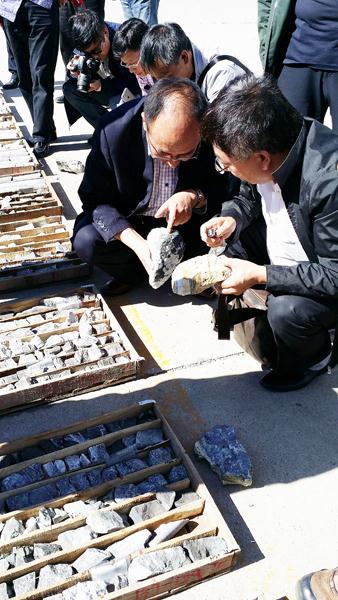 9月14日至15日,國土資源部礦產(chǎn)勘查技術(shù)指導(dǎo)中心在內(nèi)蒙古自治區(qū)錫林浩特市組織召開了大興安嶺南麓銅多金屬礦整裝勘查區(qū)找礦進(jìn)展現(xiàn)場交流會,同期組織參會專家及代表考察了位于大興安嶺南段西坡的維拉斯托礦區(qū)。這次交流會旨在貫徹落實(shí)今年7月召開的呼和浩特找礦突破戰(zhàn)略行動推進(jìn)會精神,進(jìn)一步推進(jìn)大興安嶺南麓整裝勘查區(qū)和全國錫礦勘查工作。