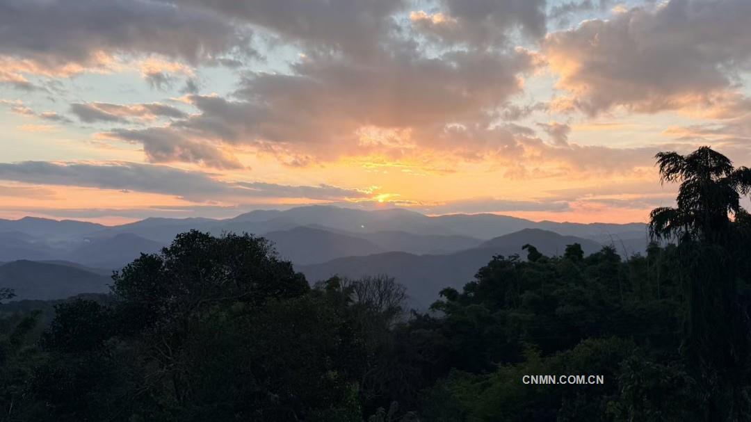 人生曠野 “老己”為伴