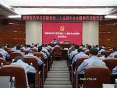 湖南有色舉行學習貫徹黨的二十屆四中全會精神宣講報告會
